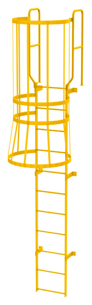 Fixed Steel Access Ladders — 10-Foot Rung Length — catalog configuration photograph; model shown may vary