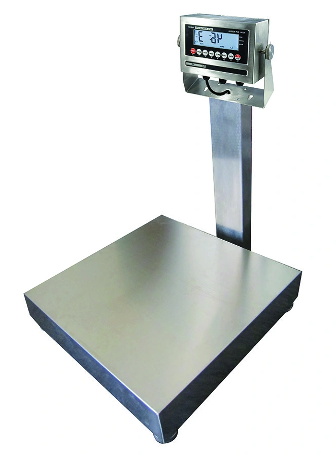 Stainless Steel Bench Scales - Legal for Trade (NTEP) catalog equipment view