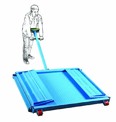 Portable Floor Scales catalog equipment view