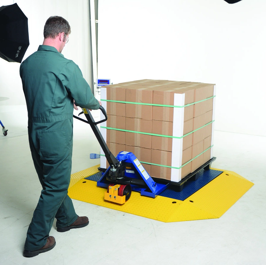 Low Profile Scales & Ramps catalog equipment view