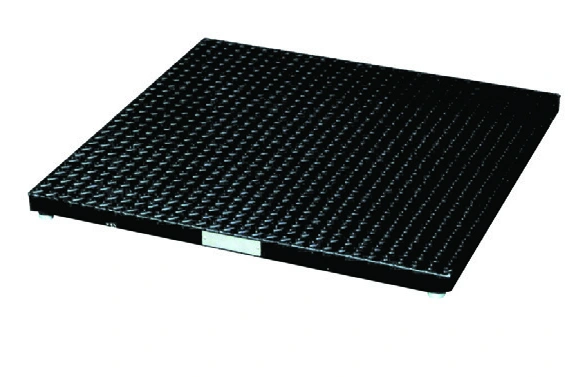 Low Profile Floor Scales catalog equipment view