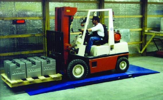 Heavy-Duty Domestic Floor Scales catalog equipment view